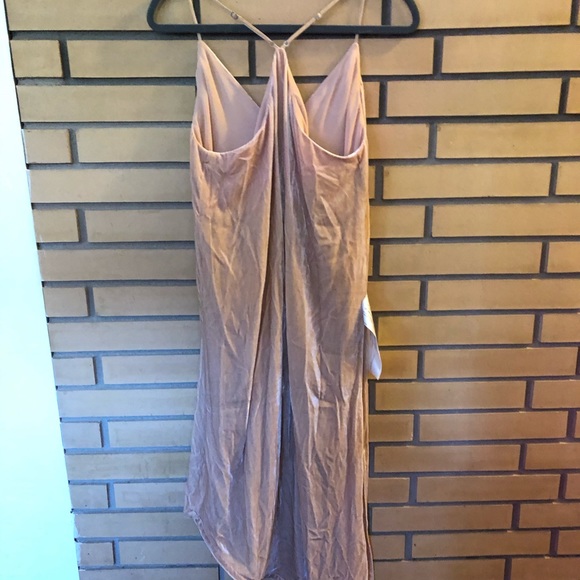NWT- BCBG- Blush Velvet Dress - Picture 5 of 8
